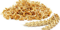 روغن جوانه گندم